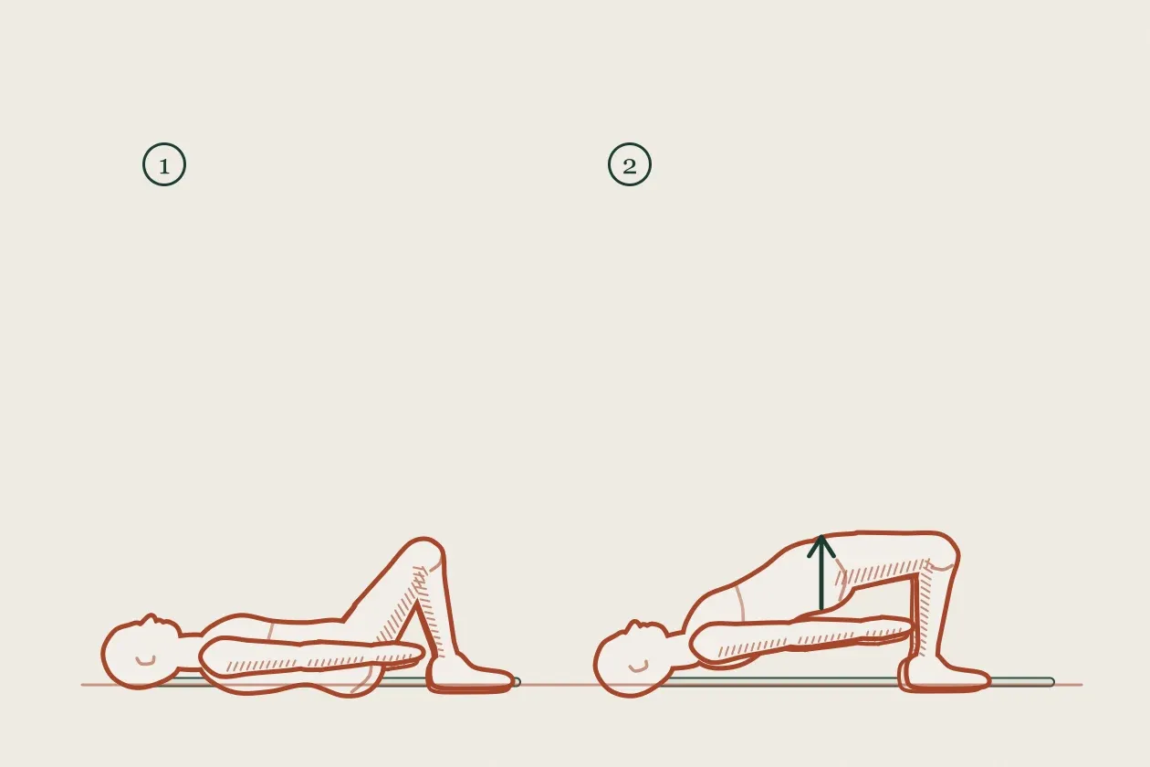 Exercise drawing in two steps: a figure lying with knees bent, then lifting the hips into a bridge