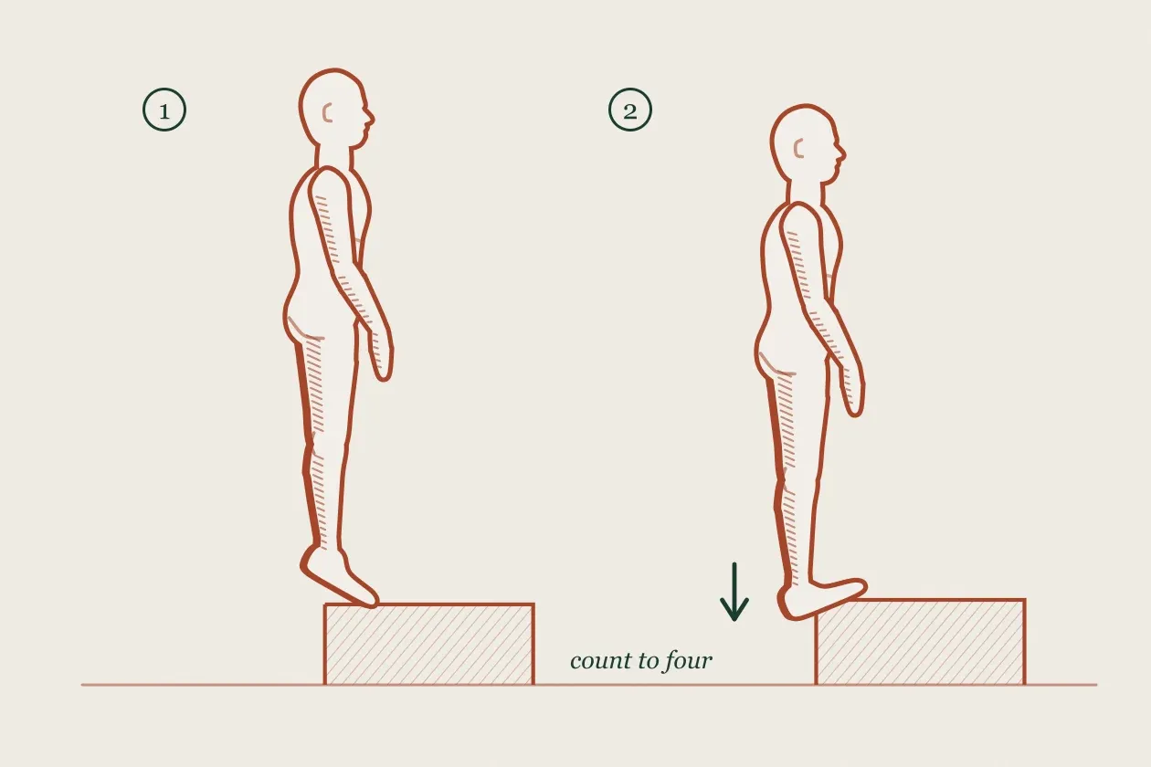 Exercise drawing in two steps: a figure on the edge of a step up on the toes, then lowering the heel below the step