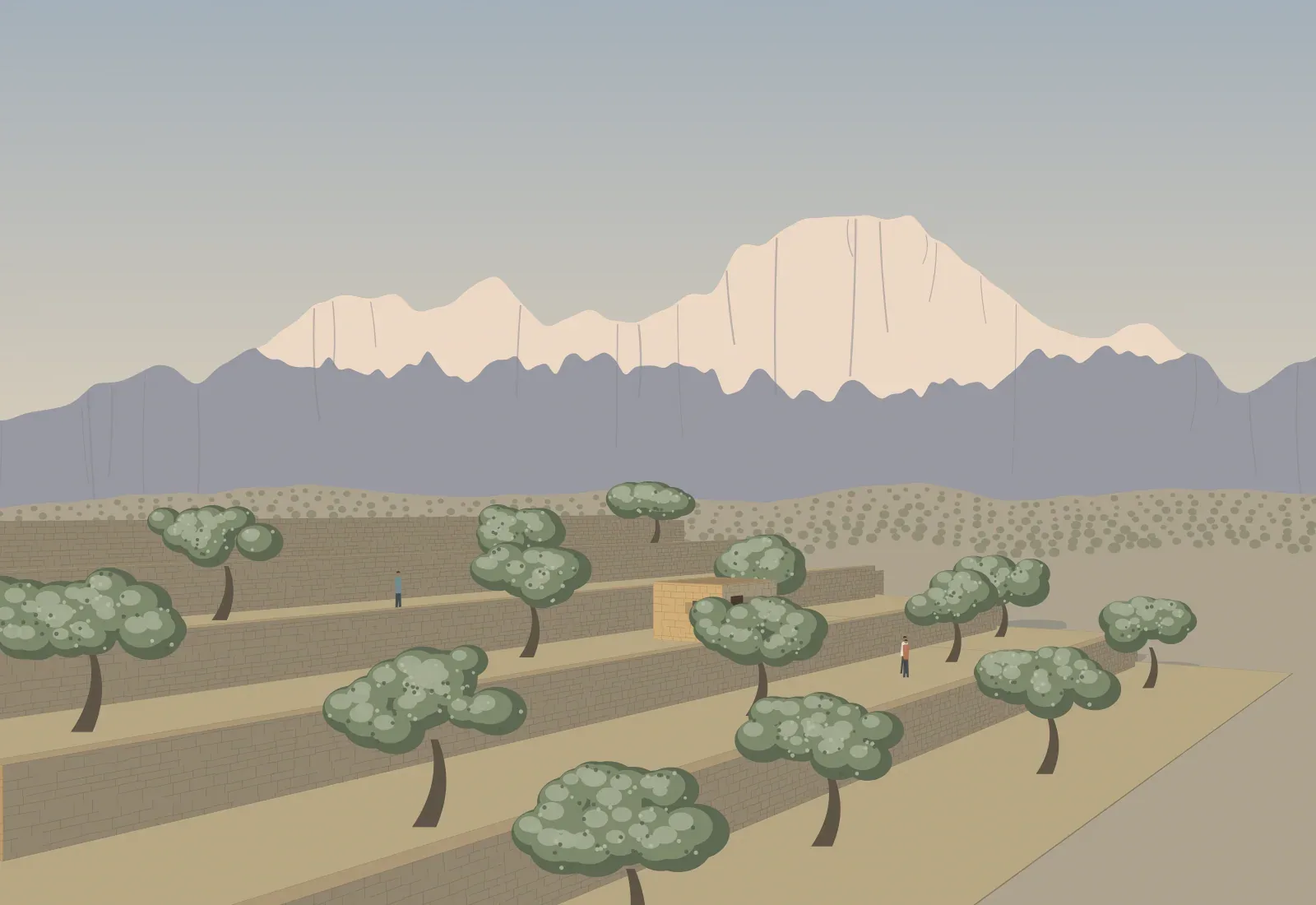 The rebuilt terraces in April, with the White Mountains still under snow.
