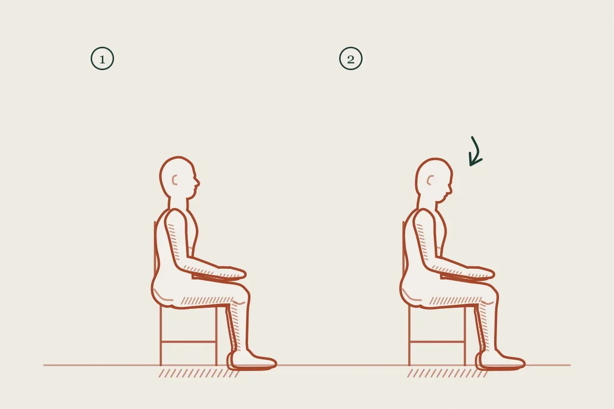 Exercise drawing in two steps: a seated figure looking ahead, then nodding the chin gently down