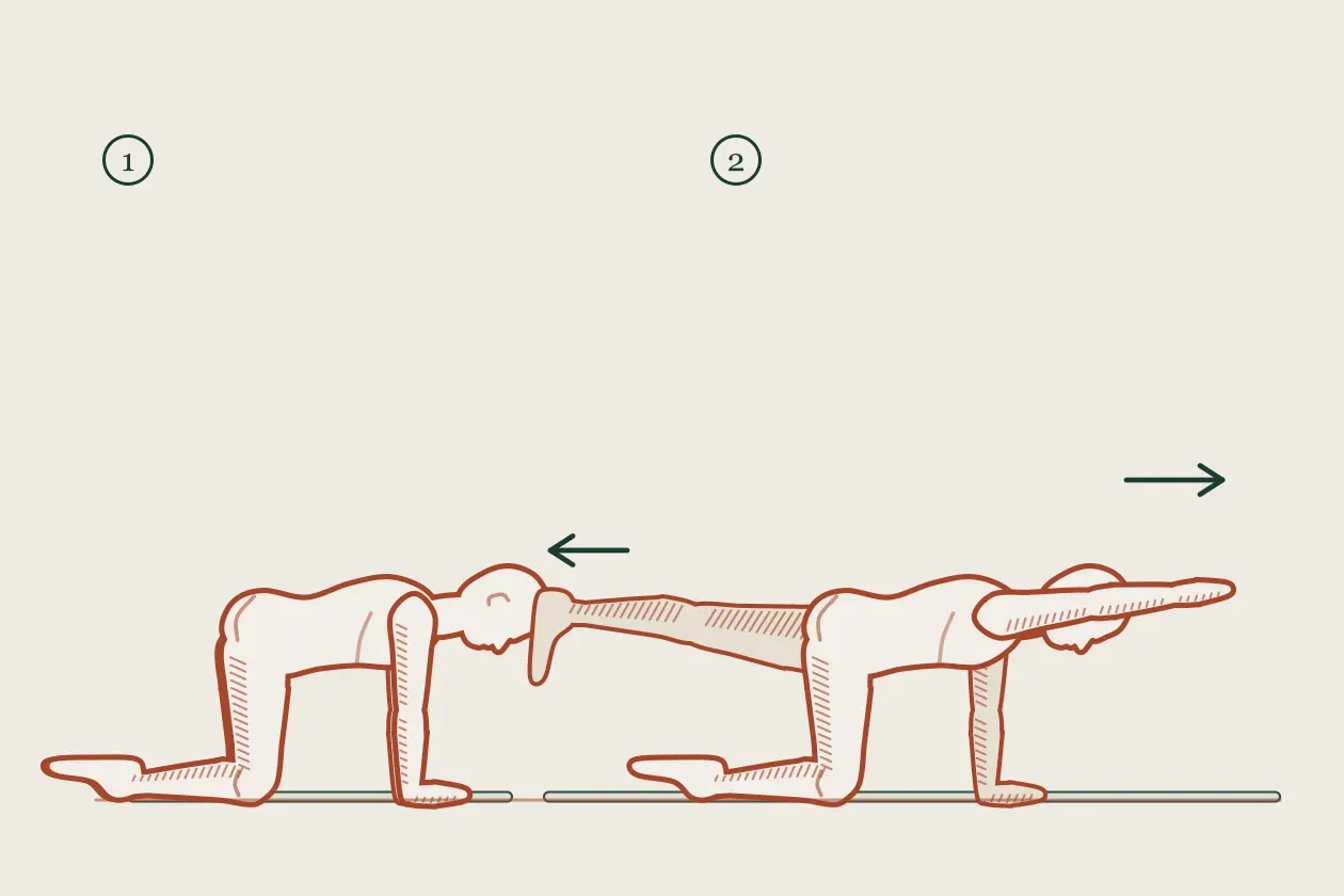 Exercise drawing in two steps: a figure on all fours, then reaching one arm forward and the opposite leg back